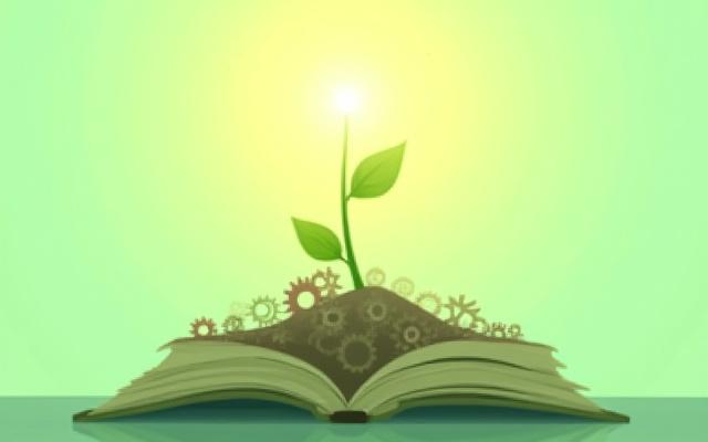 Metaphorical image of a growing plant reaching towards light, symbolizing personal and skill growth.